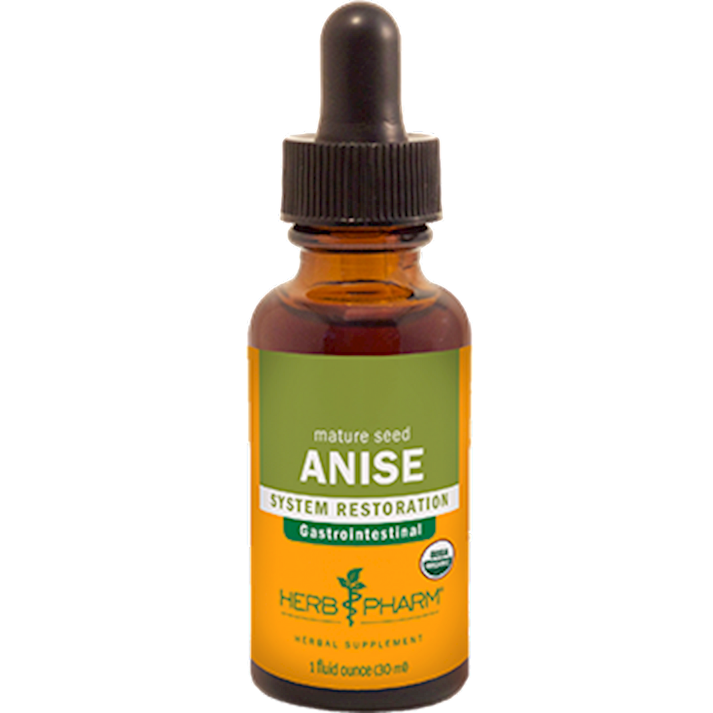 Anise (Pimpinella anisum)