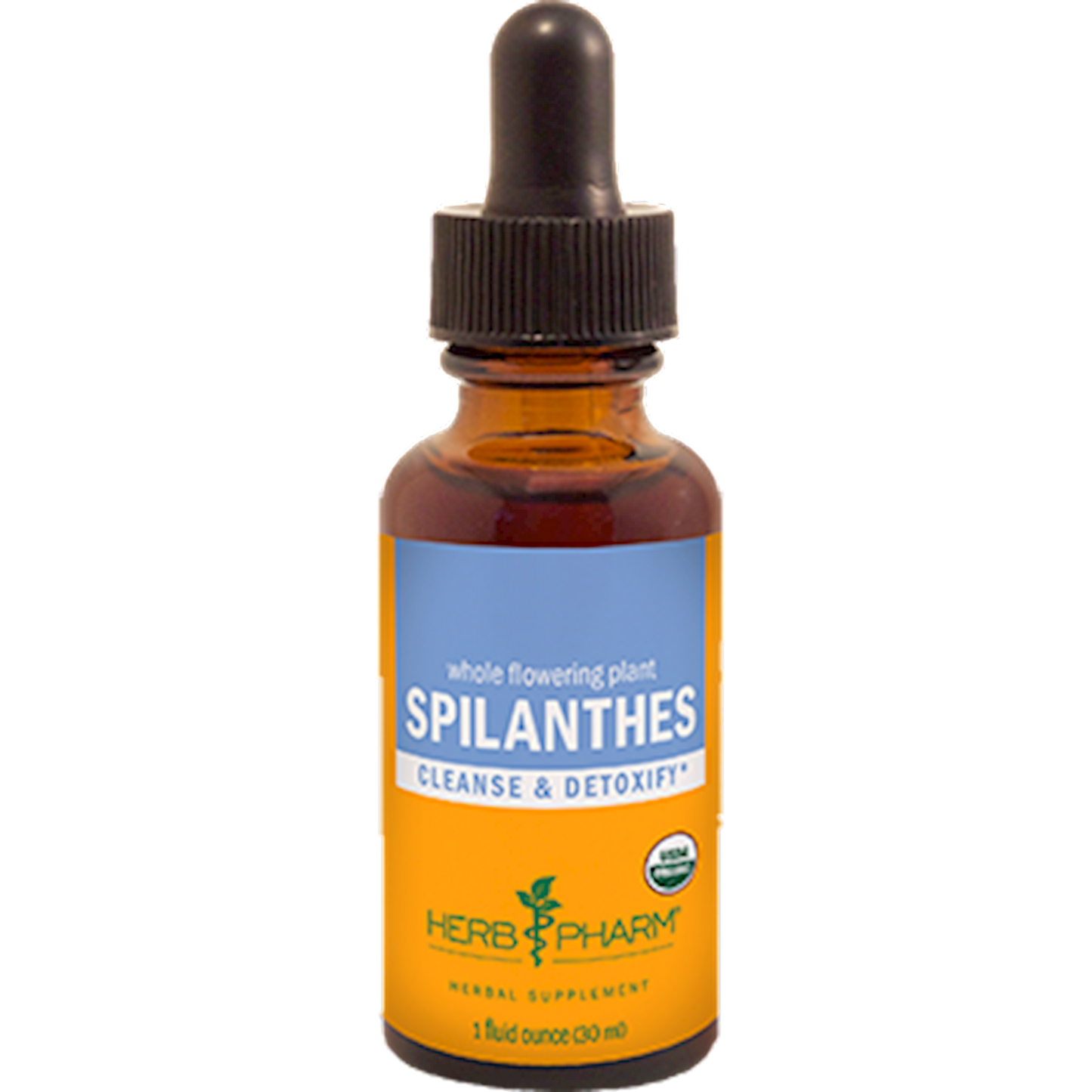 Spilanthes