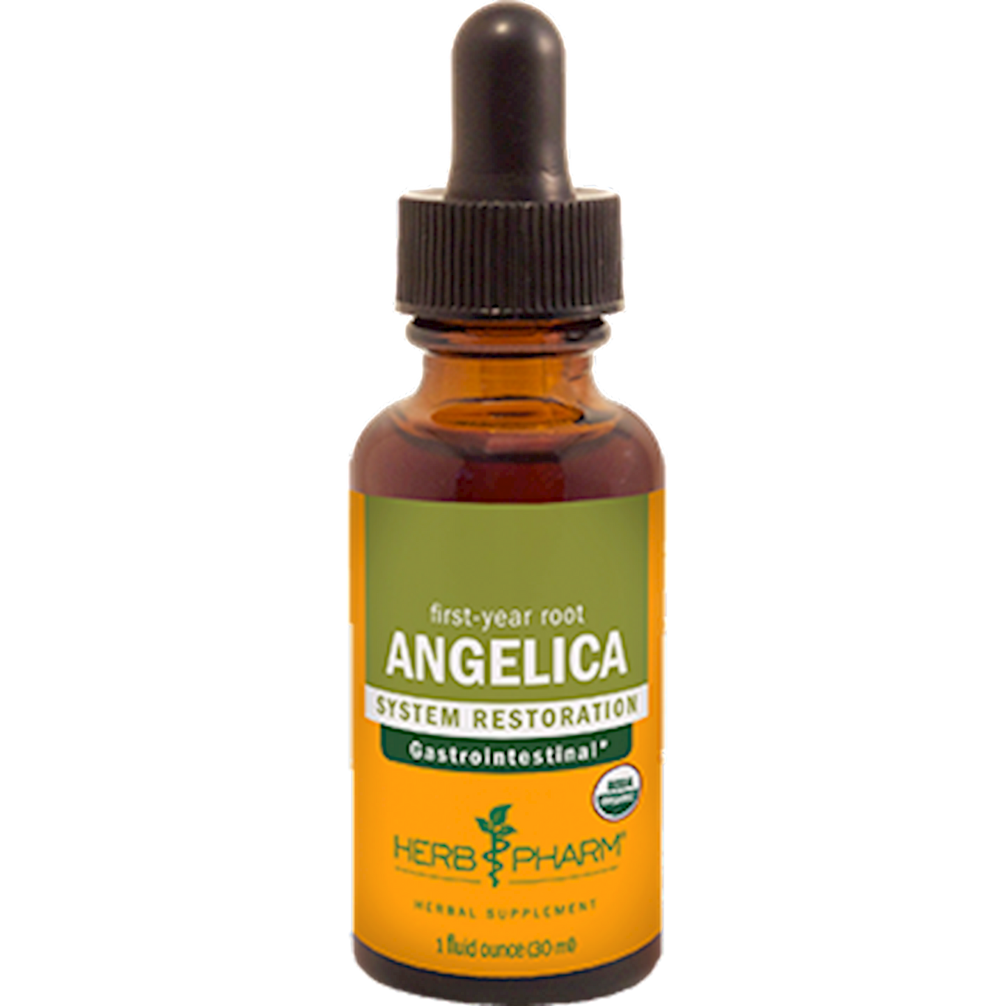 Angelica