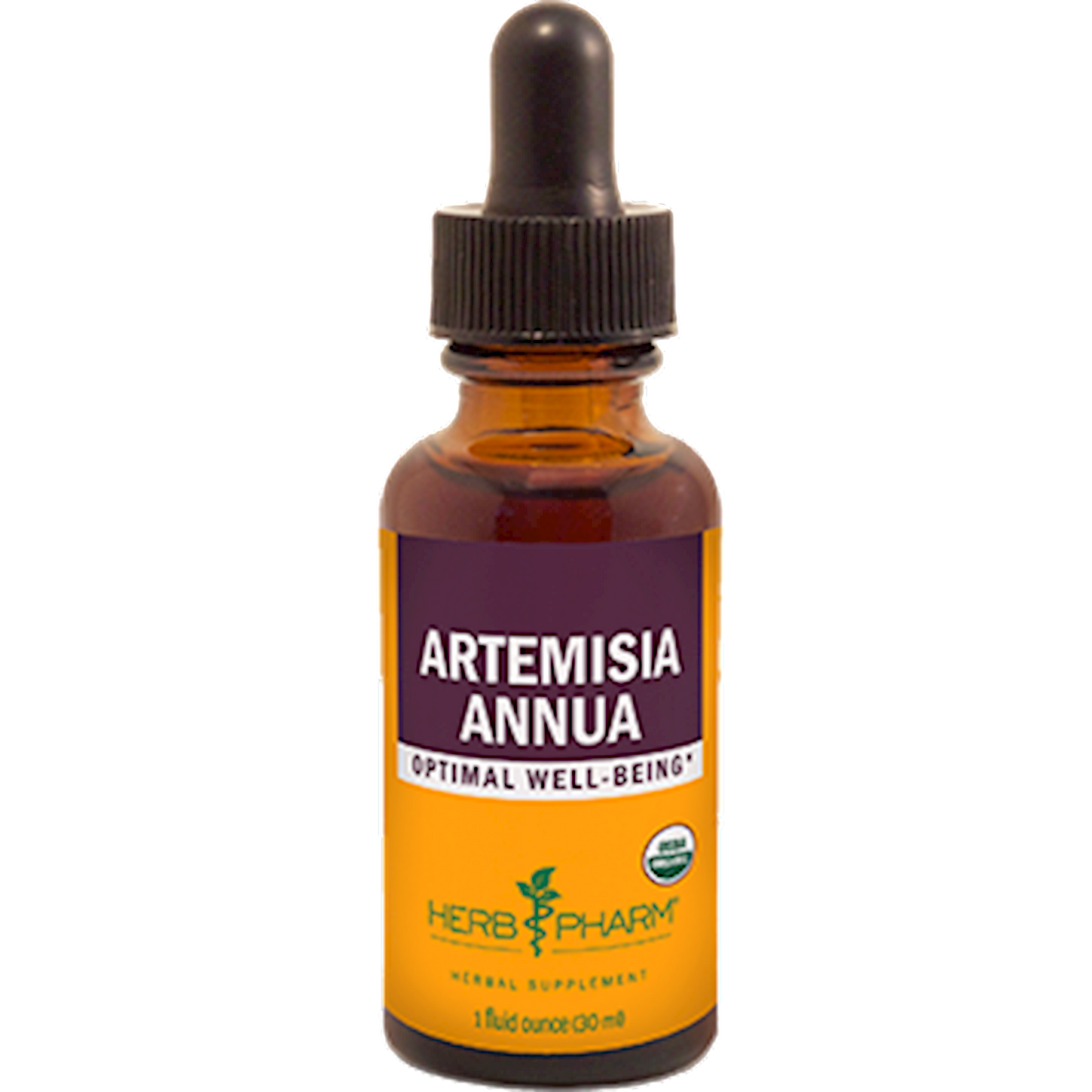 Artemisia annua