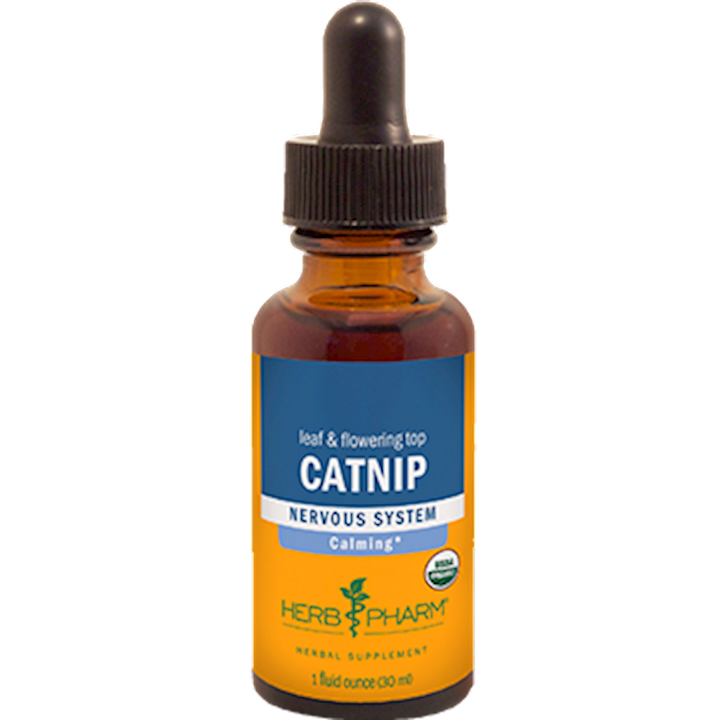 Catnip