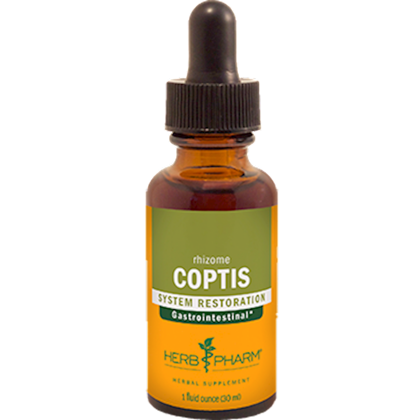 Coptis