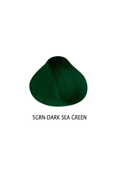 Satin Bold Series - 8Color - Palace Beauty Galleria