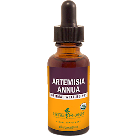 Artemisia annua
