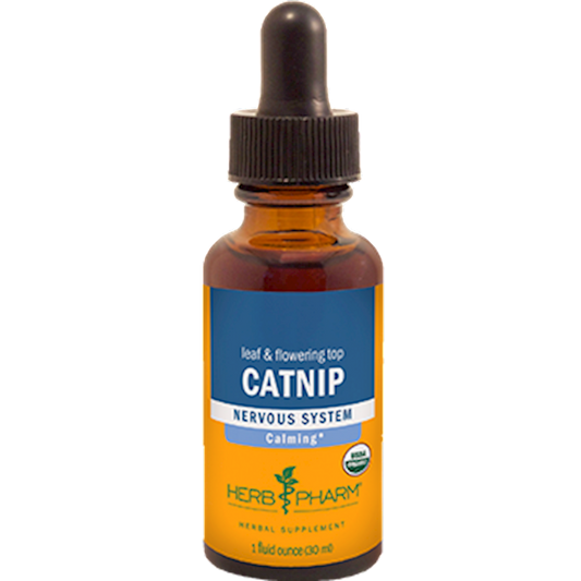 Catnip